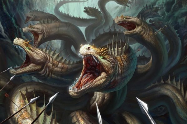 Kraken 18