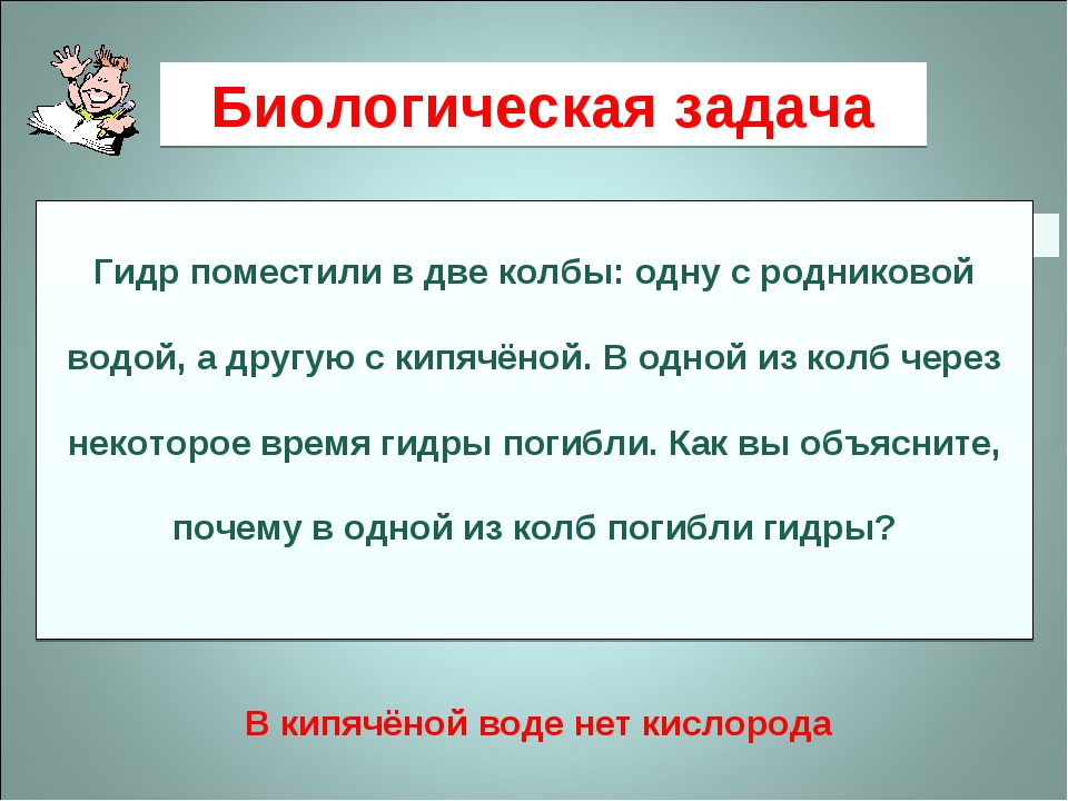 Поддержка кракен шоп