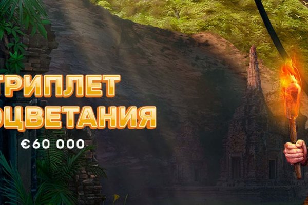 Войти даркнет
