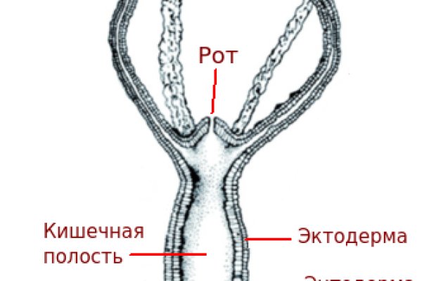Vk8 at кракен