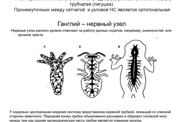 Что будет если зайти в кракен
